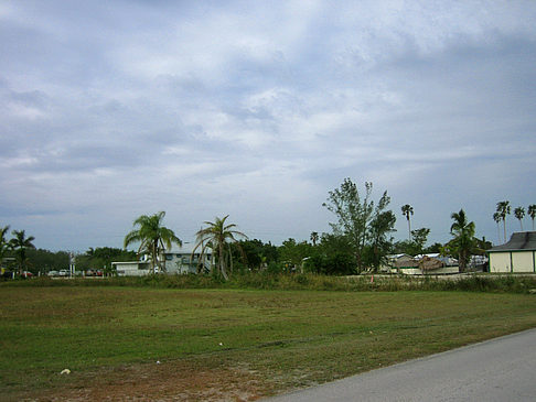 Foto Straßenrand