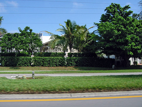 Straßenrand auf Marco Island Fotos