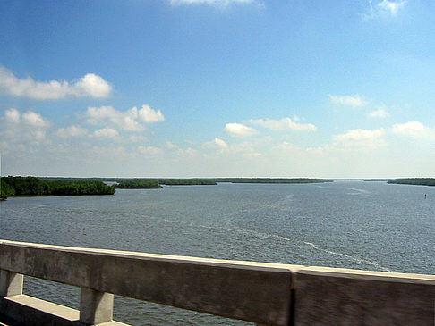 Straßenrand auf Marco Island Foto 