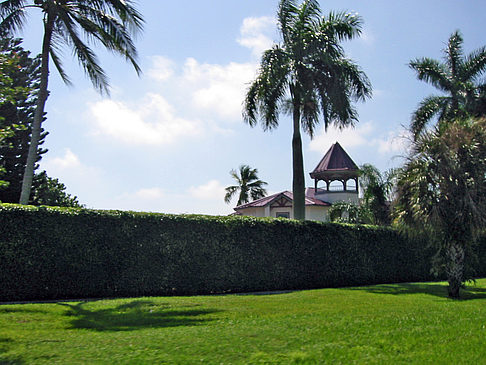 Fotos Straßenrand auf Marco Island | Marco Island