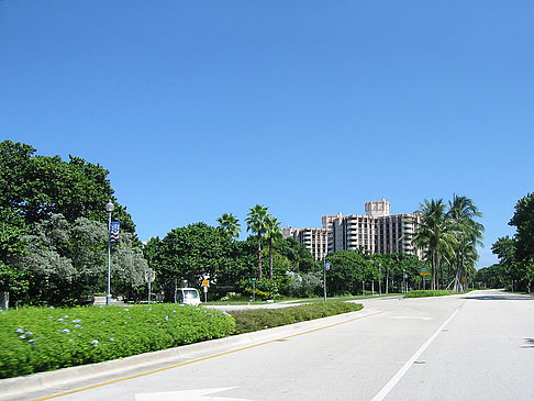 Foto Am Straßenrand - Miami