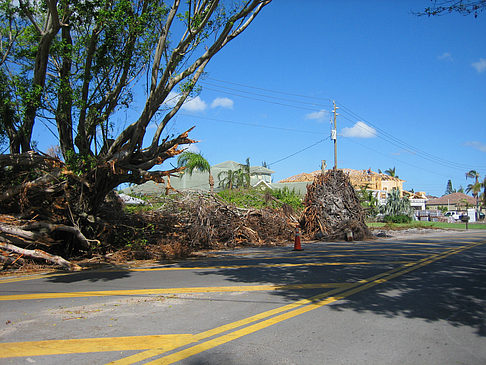 Foto Straße - 