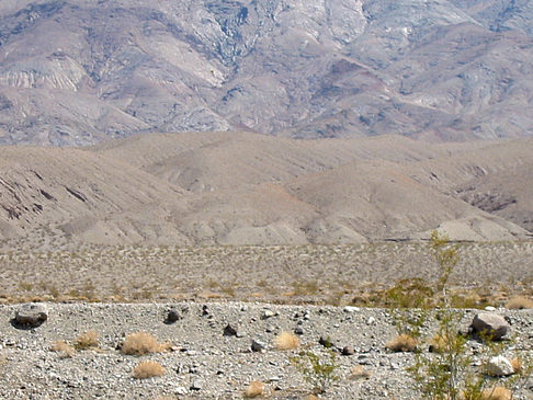 Panamint Springs - Stovepipe Wells Foto 