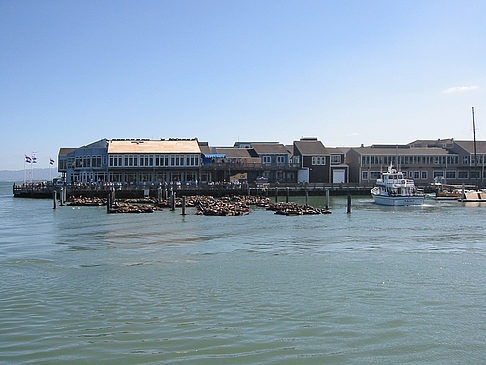 Fishermans Pier 39 bis 45