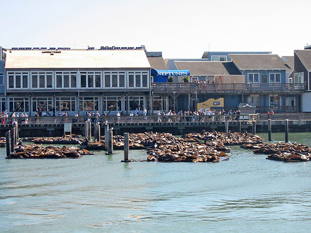 Fishermans Pier 39 bis 45 Foto 