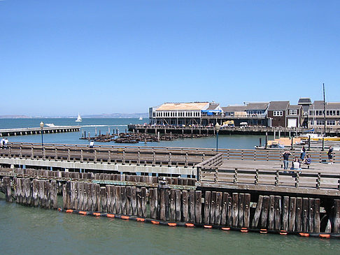 Foto Fishermans Pier 39 bis 45