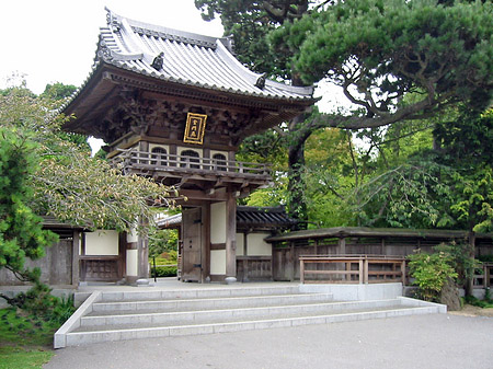 Fotos Golden Gate Park mit Botanischen Garten | San Francisco