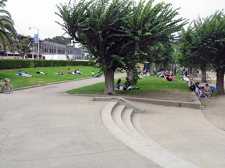 Fotos Golden Gate Park mit Botanischen Garten | San Francisco