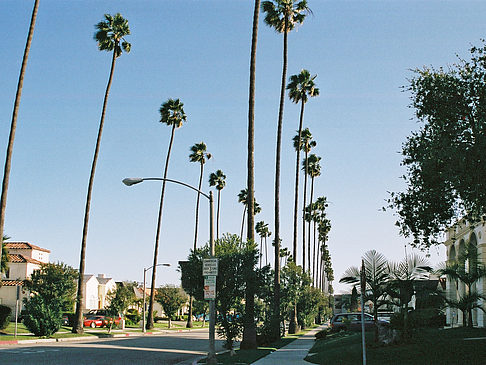 Foto Beverly Hills - Beverly Hills