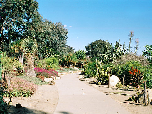 Balboa Park Foto 